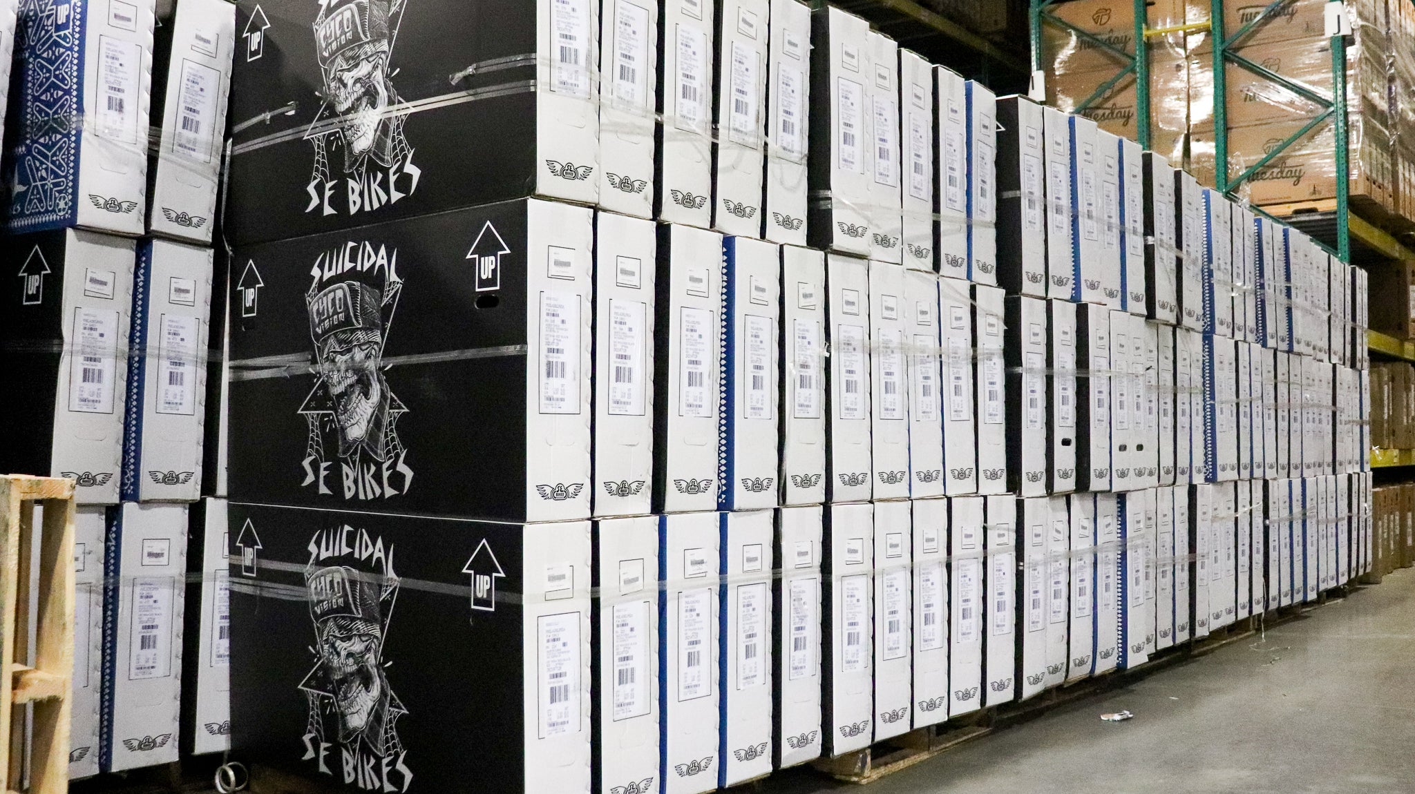 Suicidal Tendencies x SE Bikes Ready for Liftoff!