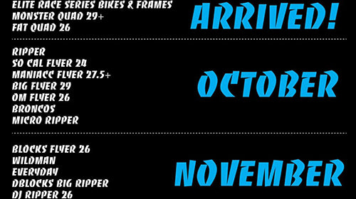 WHEN THE BIKES ARRIVE