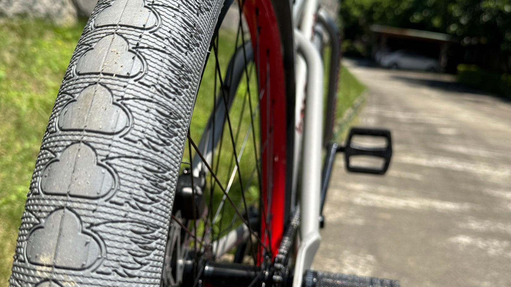 What Do We Have Here!?