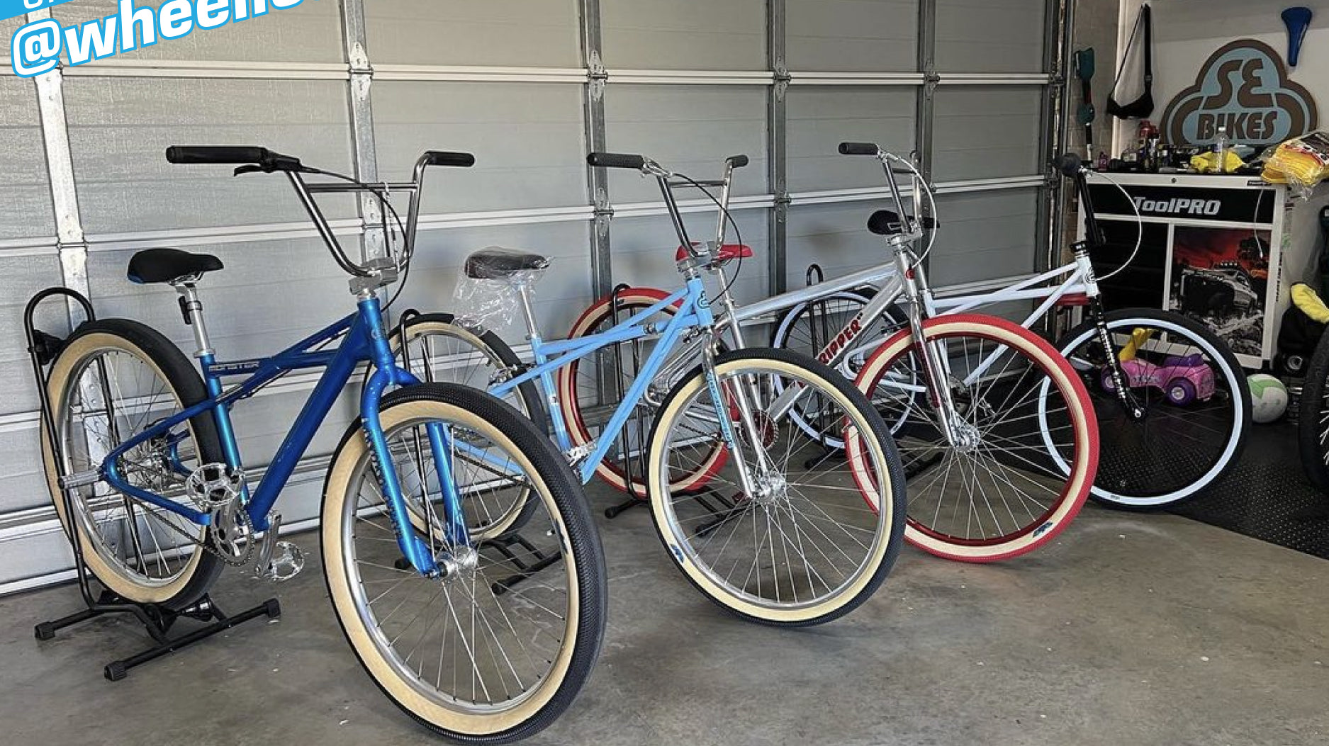 Which is Your Favorite?