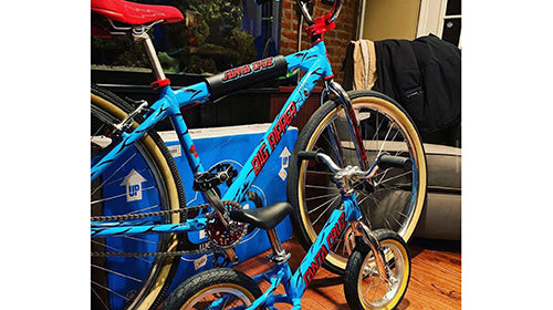 Santa Cruz Ripper Family