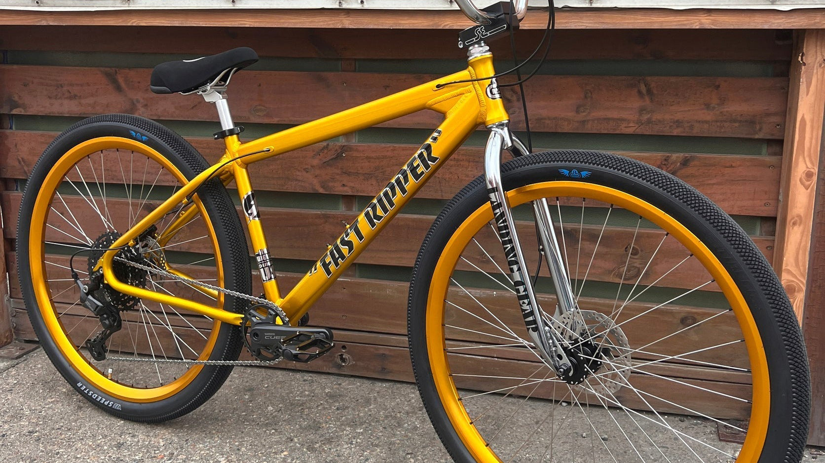 The Gold Bling Fast Ripper is a Beauty!