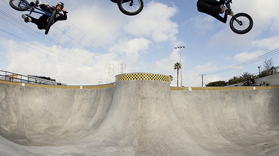 Kris Fox on the Gaudium