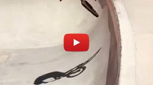 Kris Fox Rocking Vans x SE Bikes