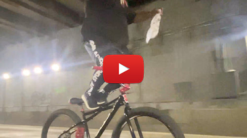 Hardbodybiggs Action