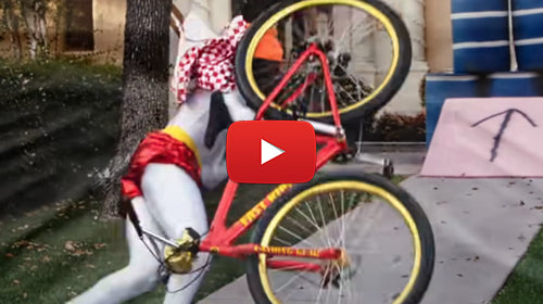 Fast Ripper in "Jackass Forever" Trailer