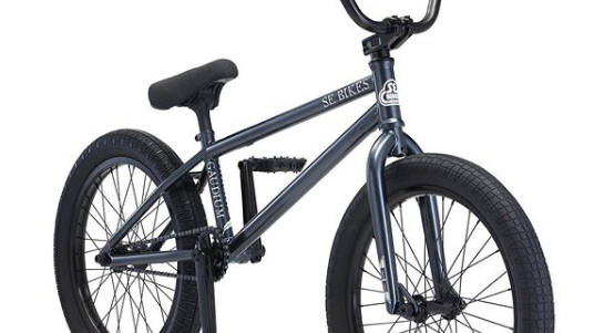 Kris Fox Signature Gaudium