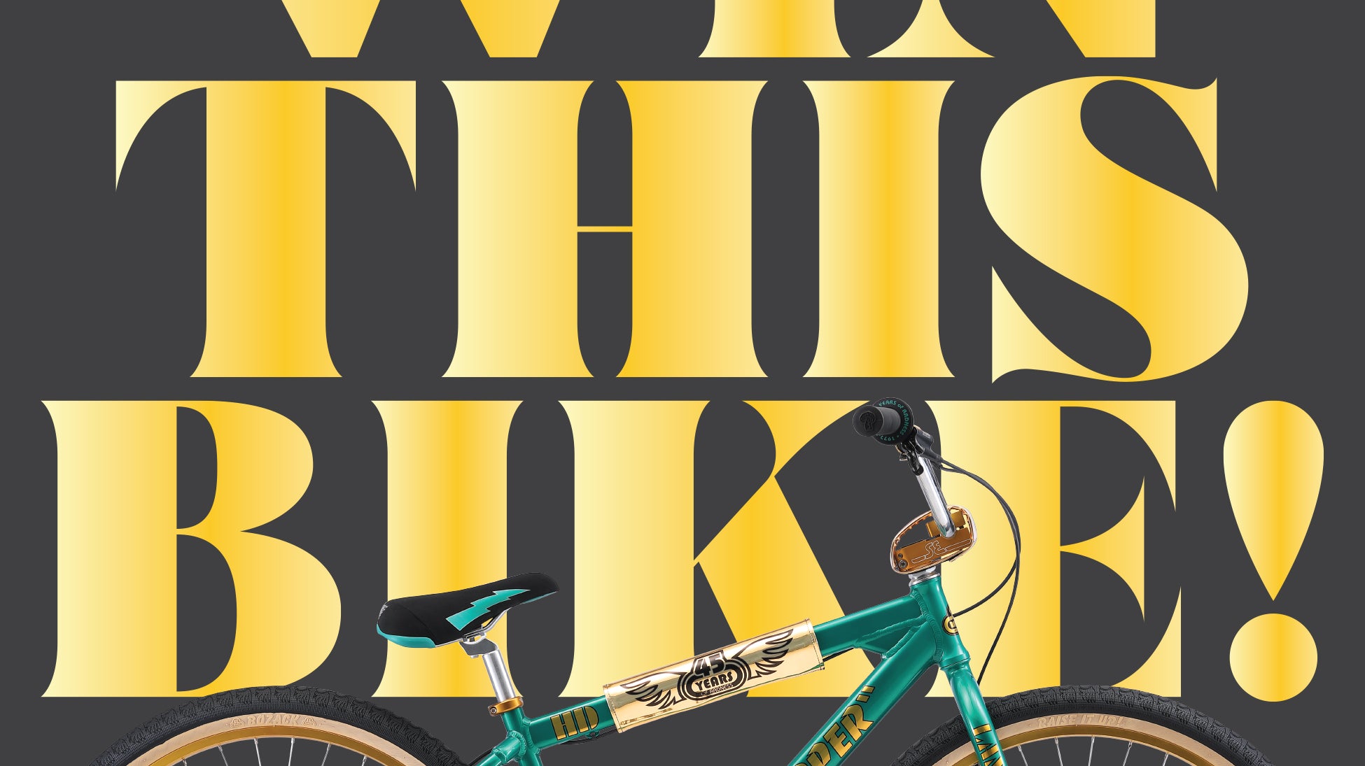 Win a Big Ripper HD!