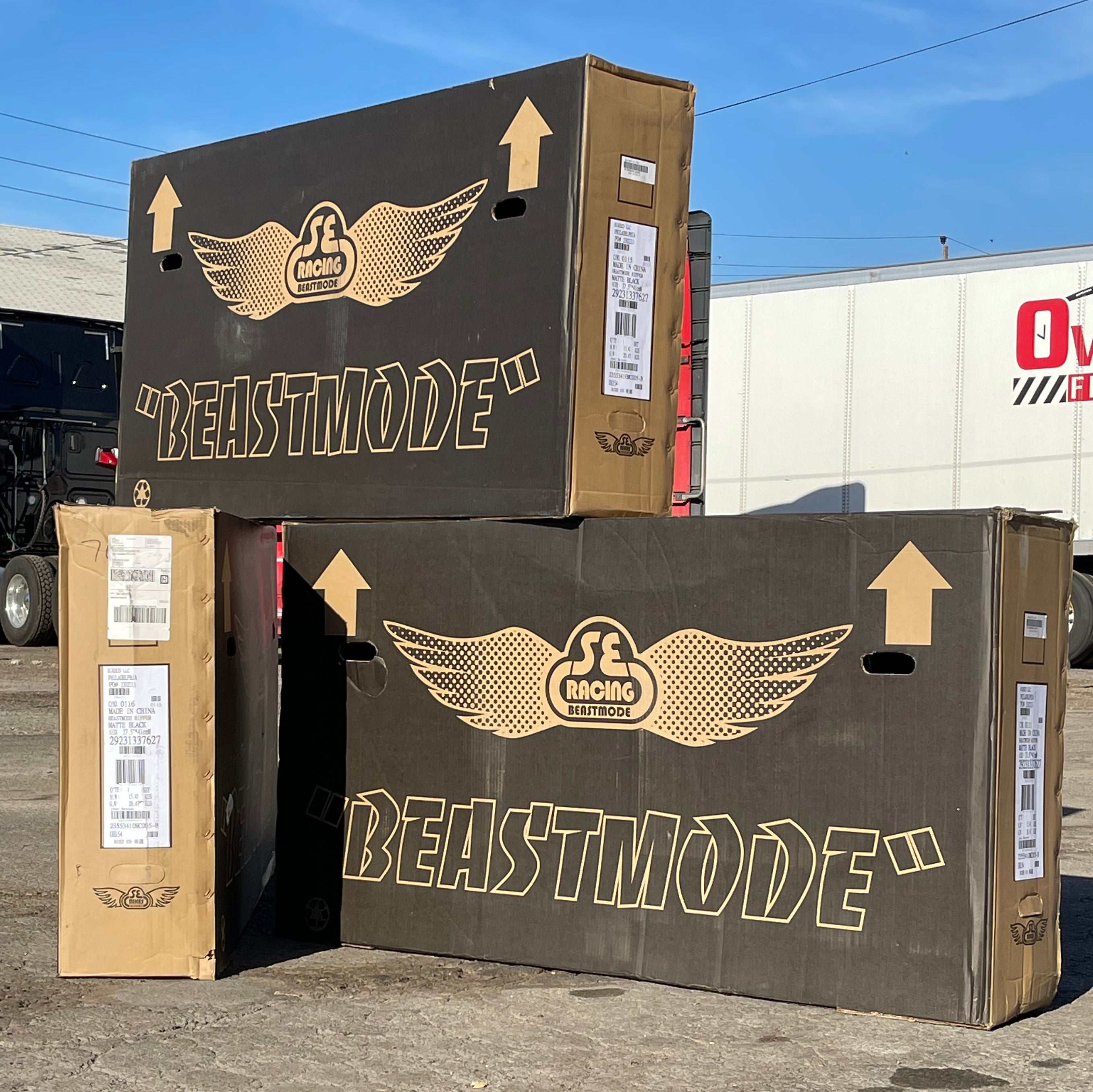 Get Them While You Can!