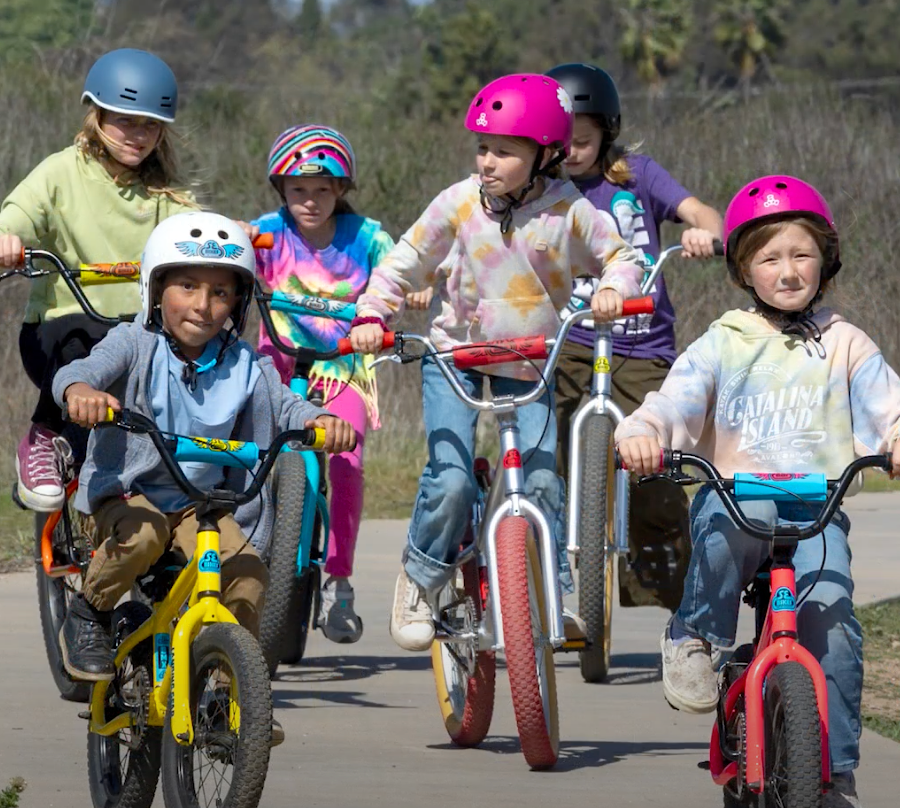 The New Basher Line Explained!