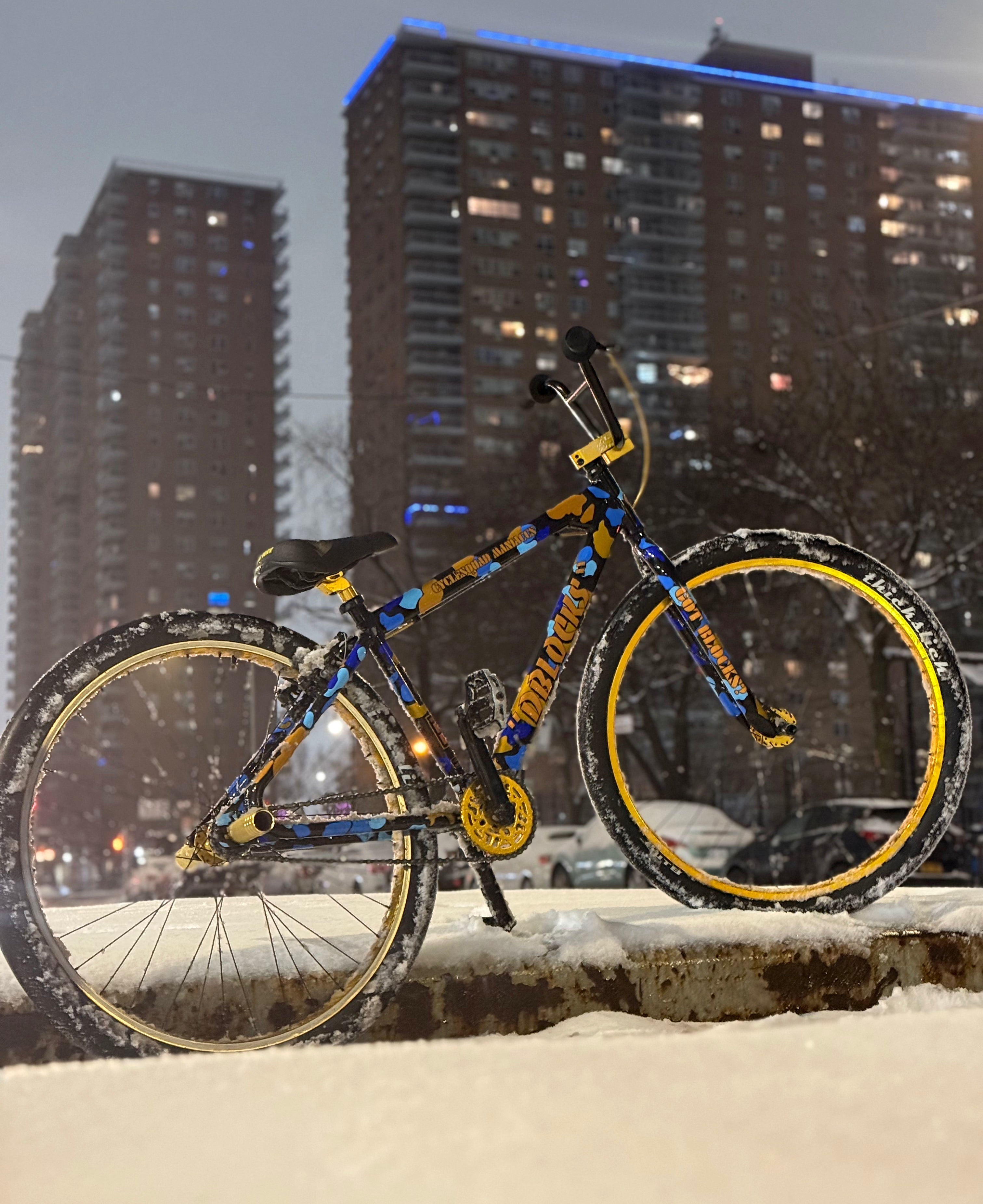 Picture Perfect in the Snow!