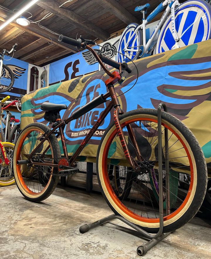 Rosie's Bike of Choice!