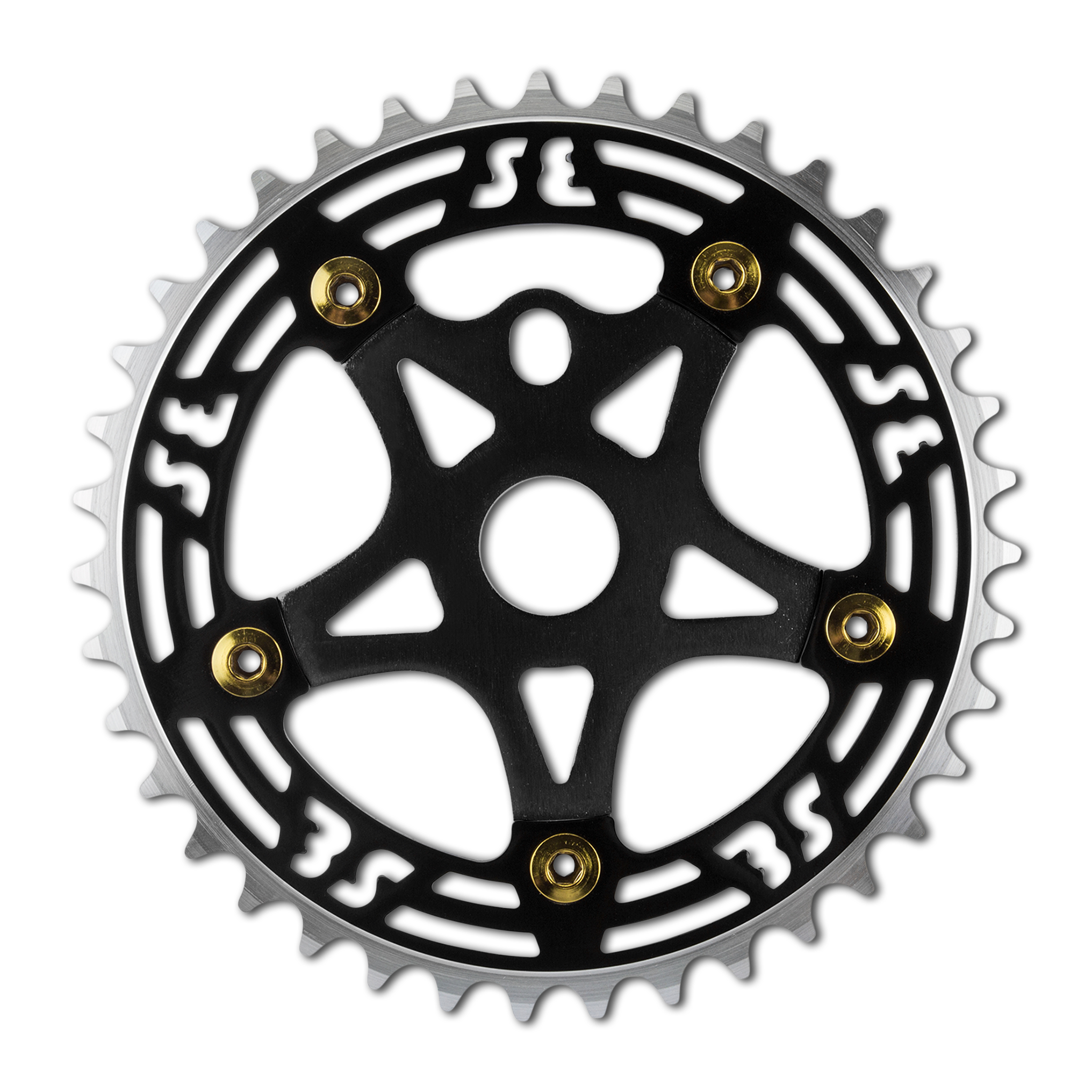 Alloy Chainring and Spider